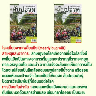 หนังสือเกษตร เทคโนโลยีการปลูกสับปะรดเงินล้าน…:  แหล่งปลูก-พันธุ์ที่ปลูกในไทย โรคและแมลงศัตรู วัชพืชและการกำจัด