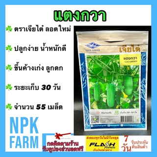 ผักซอง เจียไต๋ แตงกวา จำนวน 55 เมล็ด/ซอง เมล็ดพันธุ์ ลอตใหม่ งอกดี ปลูกง่าย ขึ้นค้างเก่ง ลูกดก น้ำหนักดี ชอบแดดจัด