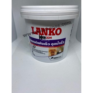 ซีเมนต์แห้งเร็ว อุดน้ำรั่ว Lanko224 Rapid Plug (1กิโล)