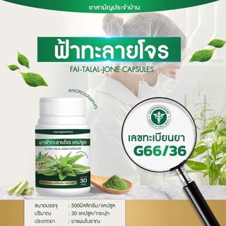 (แบบ1) ฟ้า ท ลาย โจร ฟ้า ทะลาย โจร ชนิดแคปซูล บรรจุ 30 แคปซูล ของแท้พร้อมส่ง