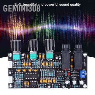 Gemini308 โมดูลเครื่องขยายเสียง AMP 2 บอร์ด อินพุตไมโครโฟน 2 ช่องสัญญาณเสียง M273 DC12 24V