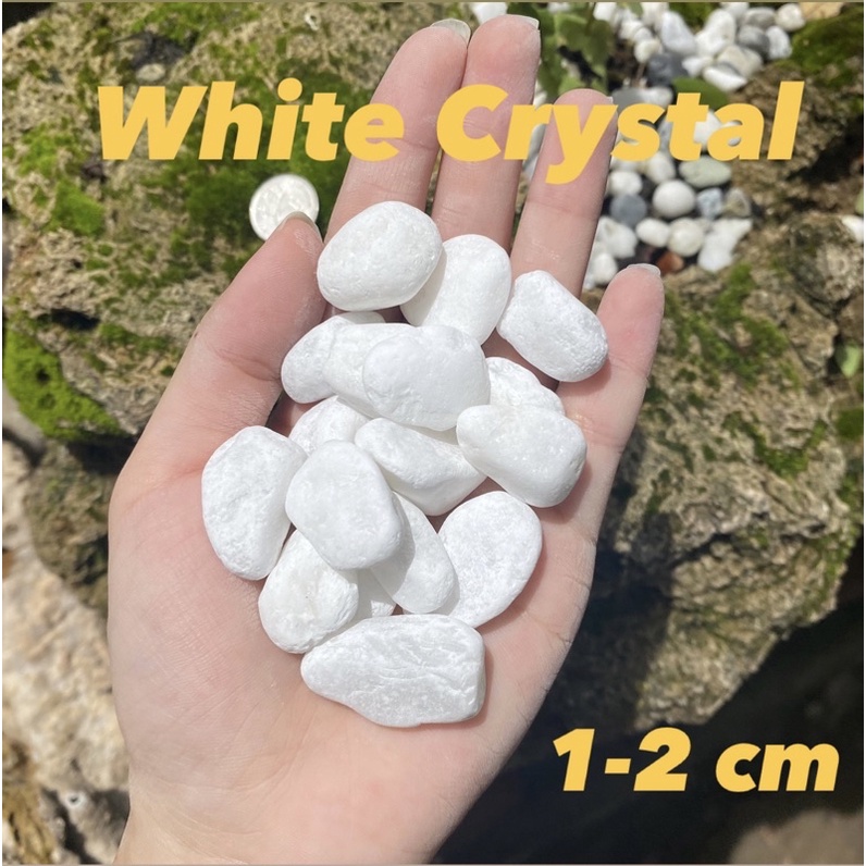 หินขาวคริสตัล หินขาว ไซส์เล็ก 1-2cm (เท่าเหรียญบาท)