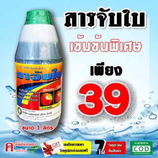 สารจับใบ ยาจับใบ สารเสริมประสิทธิภาพ สูตนเข้มข้น 1 ลิตร