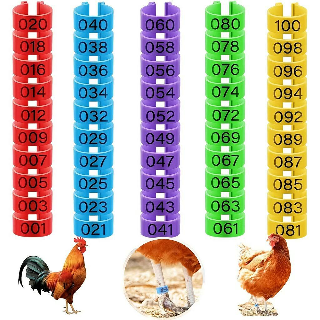 100ชิ้นแหวนขาไก่5สี,แถบขาไก่ที่มีสีสันวงขาสัตว์ปีก,คลิปบนไก่ข้อเท้าแหวนสําหรับเป็ดเจี๊ยบไก่กินีนกพิราบห่าน