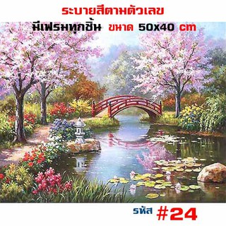 💥 ขึงเฟรมไม้ 💥 พร้อมส่ง DIY Paint Number รูปวาด ภาพวาด ภาพวาดระบายสี ภาพวาดสีน้ำมัน ภาพระบายสีตามตัวเลข ระบายสีตามเลข