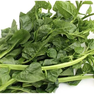 เมล็ดผักปรัง ผักปลัง ผักปัง ราคา 9 บาท 30 เมล็ด (10 แถม 1 คละได้ )