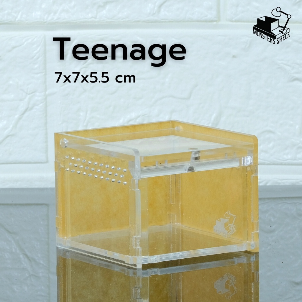 Monsters Shelf. รุ่น Teenage