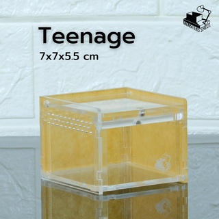 กล่องเลี้ยงสัตว์ รุ่น Teenage by Monsters Shelf.