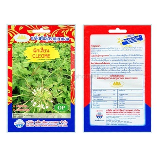 เมล็ดพันธุ์ ผักเสี้ยน Cleome ปลูกง่าย ดองอร่อย เมล็ดรวม 4 กรัม