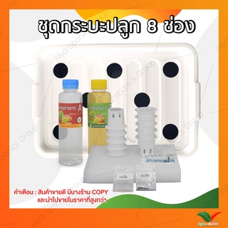 ชุดกระบะปลูกน้ำนิ่ง 8 ช่อง พร้อมปลูก สุดคุ้ม by hydroponicgroup