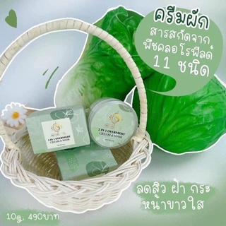 ครีมผัก 2 in 1 OVERNIGHT CREAM &amp; MASK ขนาด 10 กรัม ครีมผักออแกนิค