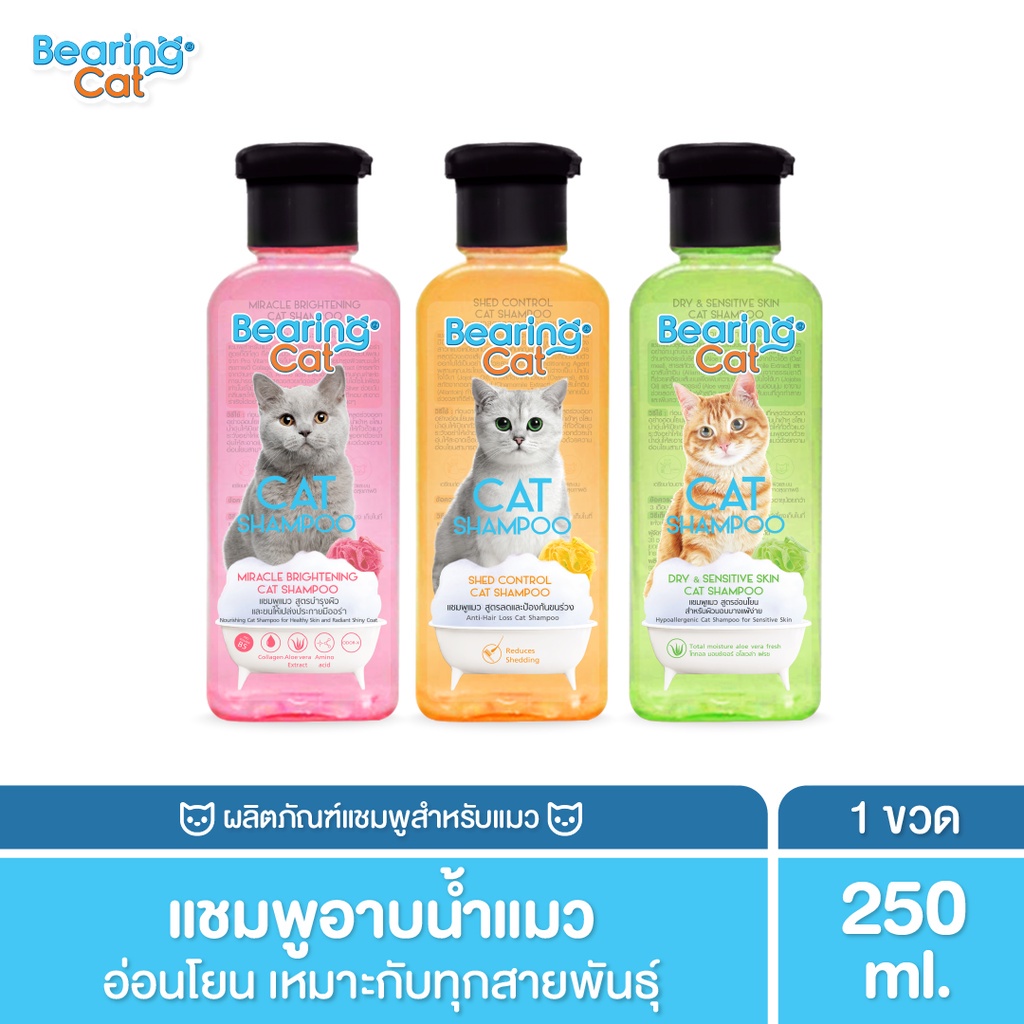 [250cc] BEARING Cat แชมพูแมว แชมพูอาบน้ำแมว แมว สำหรับแมว สูตรอ่อนโยน สำหรับแมวทุกสายพันธุ์ Cat Shampoo