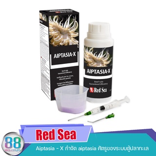 Red Sea Aiptasia-X น้ำยาฉีดกำจัด AIPTASIA ไม่เป็นอันตรายปลาและปะการัง ปลอดภัย 100%