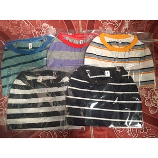 เสื้อสุนัข เบอร์ 4 รอบอก 16 นิ้ว***ส่งด่วนเคอรี่