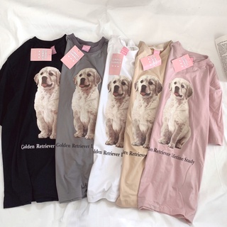 destinytshirt เสื้อยืด oversize ผ้าคอตตอน สไตล์ minimal สกรีน Golden Retriever Lifetime Study