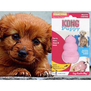 ของเล่นลดพฤติกรรมทำลายข้าวของ KONG Puppy X-small/ X-Petit  สำหรับลูกสุนัขขนาดไม่เกิน 2  kg