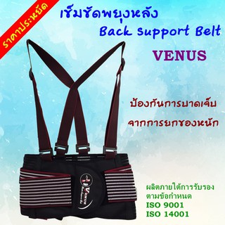 เข็มขัดพยุงหลัง Back Support Belt Venus