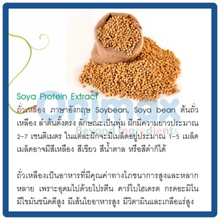 สารสกัด โปรตีนถัวเหลือง Soya protein extract 500ml.