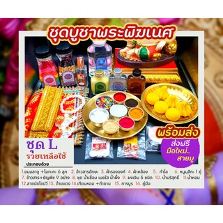 🌸ชุด🌸 L  ชุดรวยเหลือใช้ วายพระพิฆเนศ (ไม่เสียค่าส่ง)
