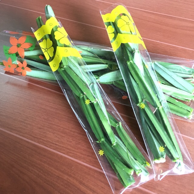 เพชรสังฆาต❌ริดสีดวง❌กิ่งสด❤️กินสด❤️ตัดใหม่ตามออร์เดอร์✅ต้องการปริมาณมากทักแชทได้เลยค่ะเพชรสังฆาตลดริดสีดวง