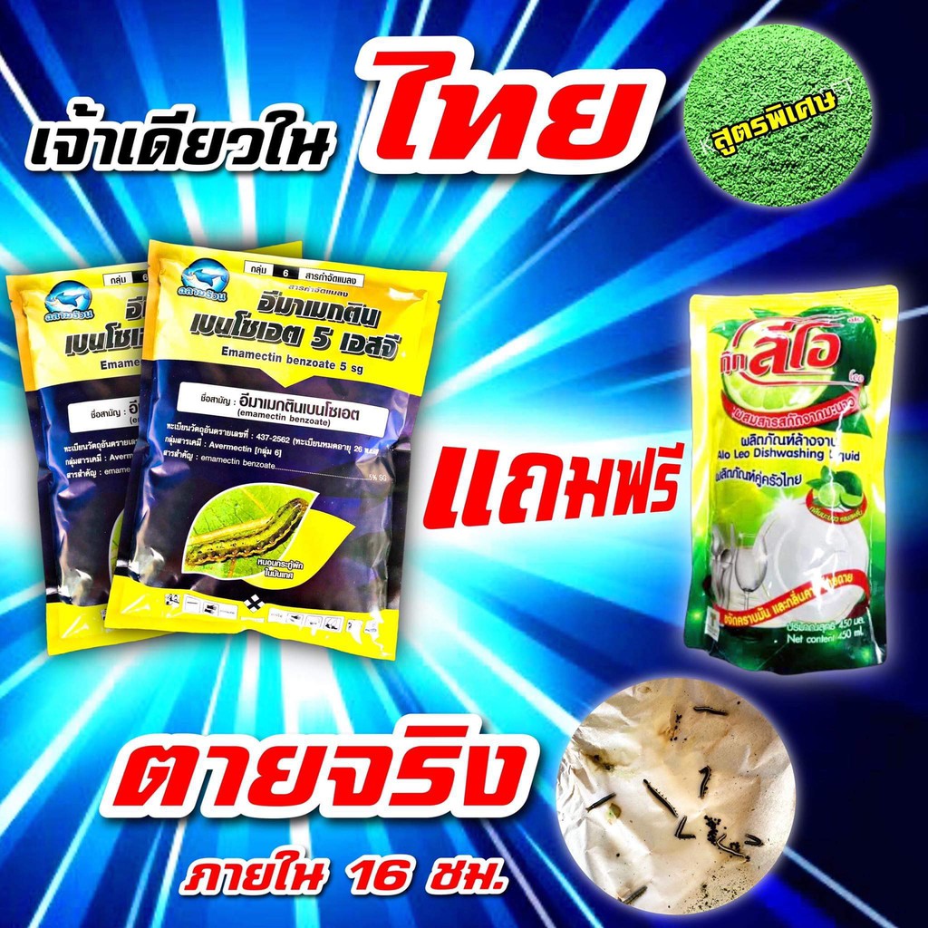 My Image 6