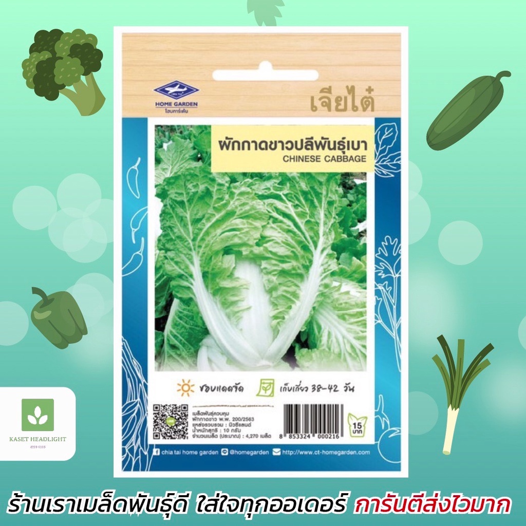 ผักกาดขาว ขาวปลีพันธุ์เบา เจียไต๋ เมล็ดพันธุ์ผักกาดขาว