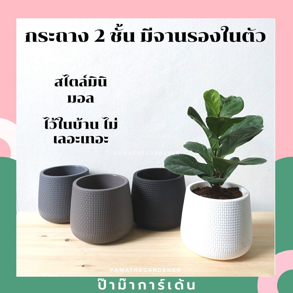 กระถางมินิมอล มีจานรองในตัว กระถางเบลล่า กระถางโมเดิร์น