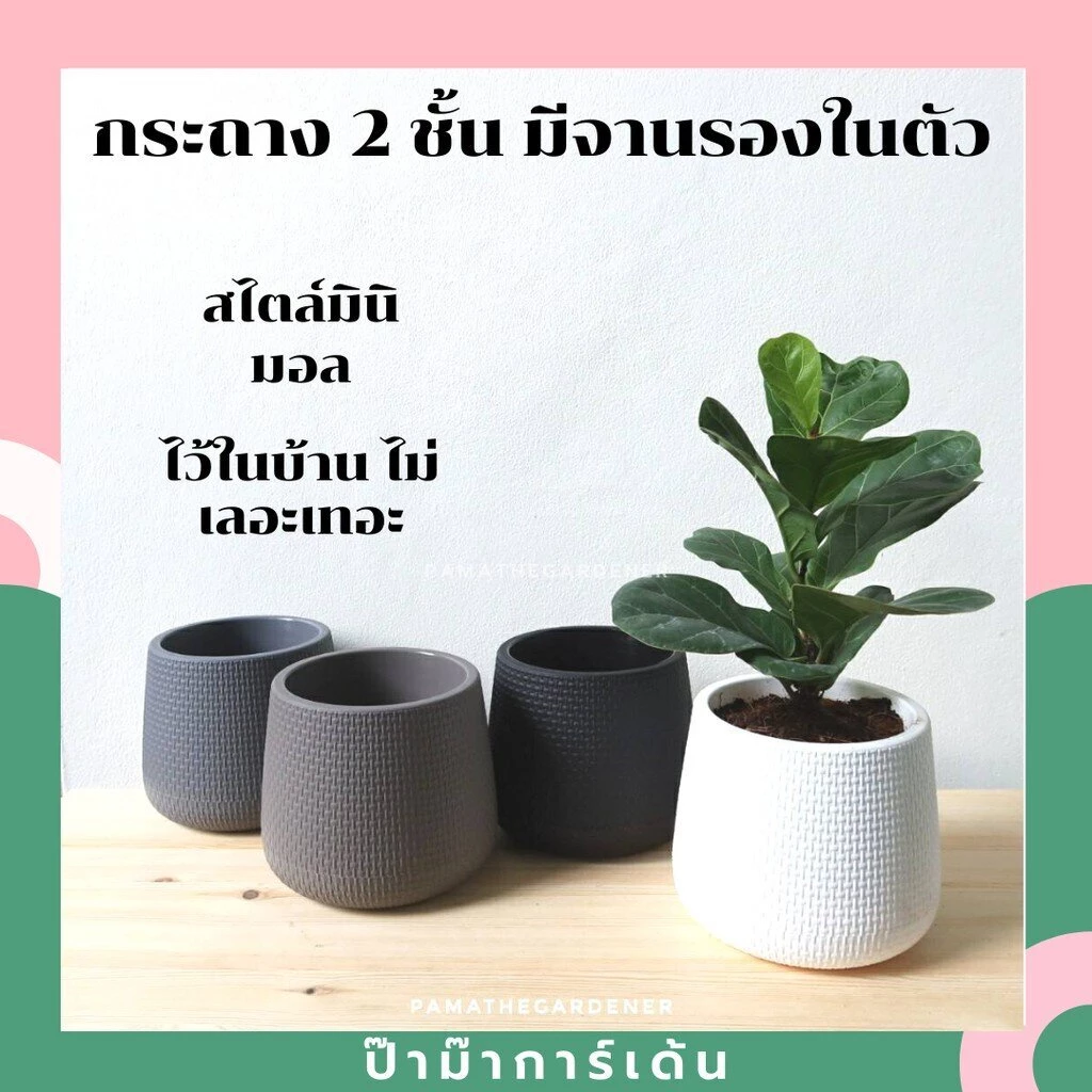 กระถางมินิมอล มีจานรองในตัว กระถางเบลล่า กระถางโมเดิร์น