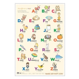 kidtuk โปสเตอร์หัดอ่าน โปสเตอร์การเรียนรู้ ABC กขค ตัวเลข สระ วรรณยุกต์ ภาพประกอบการศึกษา บรรจุกล่อง
