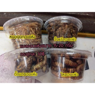 ราคาแมลงอบแห้งสำหรับสัตว์เลี้ยง 30฿