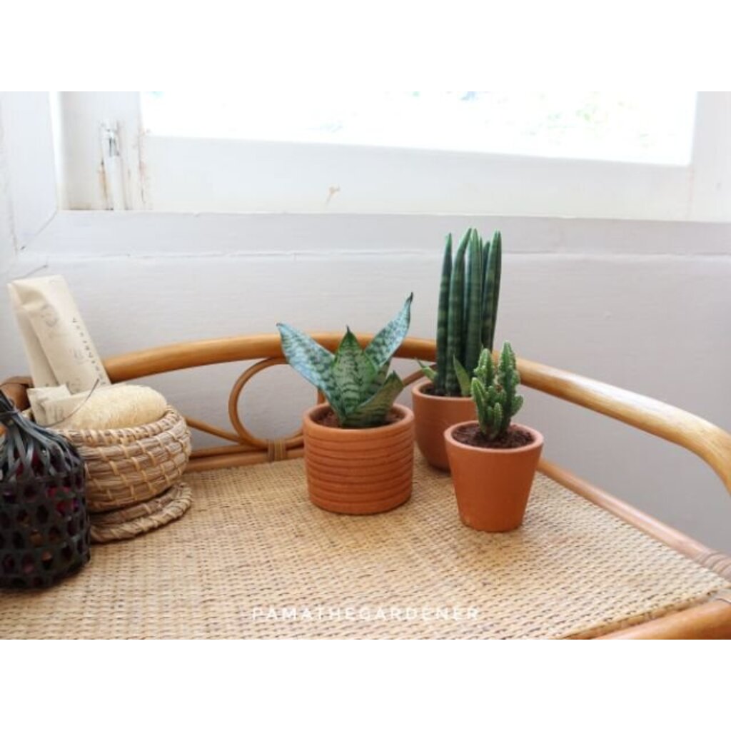 มุมมอง 2