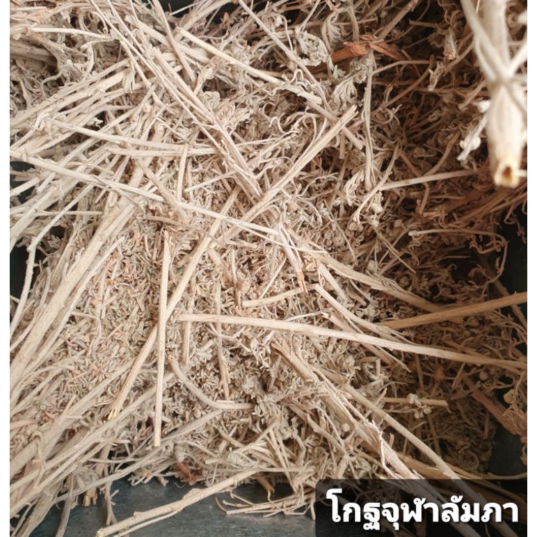 อัลบั้ม 90+ ภาพพื้นหลัง โกฐจุฬาลัมภา ความละเอียด 2k, 4k