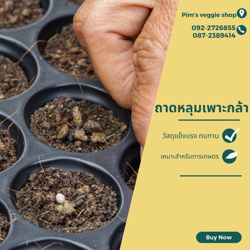ถาดหลุมเพาะกล้า ถาดหลุมเพาะชำ ถาดเพาะเมล็ด 60/200หลุม