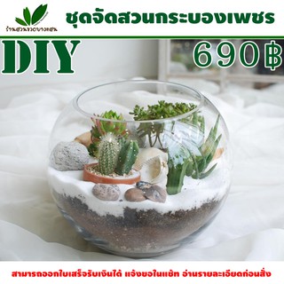 ชุดจัดสวน กระบองเพชร DIY ไซต์ L และ XL เลื่อนอ่านรายละเอียดก่อนกดสั่ง