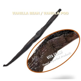 ฝักวนิลา ทาฮิติ 1 แท่ง VANILLA BEAN TAHITENSIS 1 POD