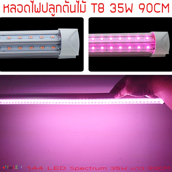 หลอดไฟปลูกต้นไม้ หลอดไฟปลูกพืช LED T8 10W 22W T20 35W 50W Grow Light AC 220V + สายไฟพร้อมสวิทซ์ปิดเป