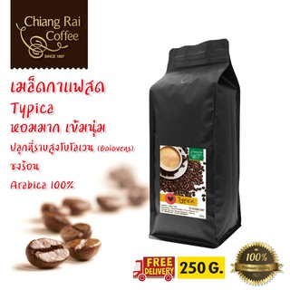 เมล็ดกาแฟสด Typica (Arabica 100%) คั่วกลาง หอม เข้มนุ่ม ส่งฟรีทั่วไทย