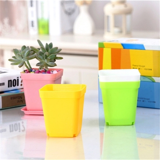 CACTUS POT กระถางกระบองเพชร กระถางพลาสติก กระถางแคคตัส สี่เหลี่ยม ขนาดเล็ก มีถาดรอง กระถางต้นไม้ พลาสติก