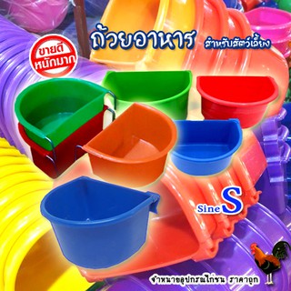 ถ้วยน้ำไก่ชนราคาถูก **แพ็ก 3 ใบ ถ้วยอาหาร ไซร์S  #อุปกรณ์ไก่ชน