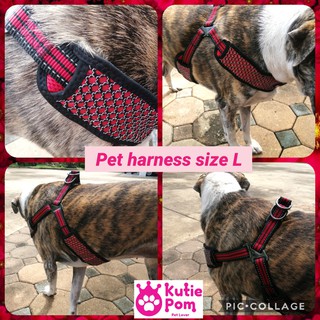 Kutiepom ชุดสายรัดตัวพร้อมสายจูงสำหรับสุนัขพันธุ์ใหญ่ คุณภาพดี Big Dog Harness and Leash very Good Quality