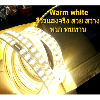 (ยกลัง100ม) ราคาส่ง** ไฟสายยางแบนชิพสามแถว SMD LED 5025 (5730) 2แถว 3แถว 100ม. แสงวอร์ม แสงขาว สว่างมาก ทนทาน กันน้ำ ***