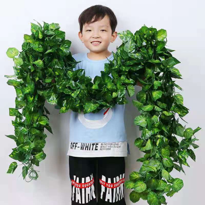 พร้อมส่ง เถาไอวี่ประดิษฐ์ ยาว 220 ซม. สำหรับตกแต่งบ้าน ราคาถูก