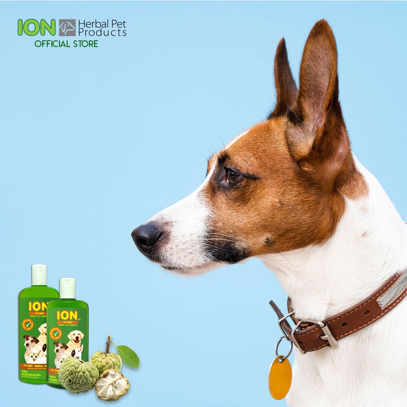 ION FS500 แชมพูสมุนไพรน้อยหน่า สูตรเห็บหมัด สำหรับสุนัขและแมว ขนสั้น TX Free Shampoo 500ml - รูปที่ 2