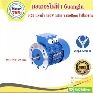 มอเตอร์ไฟฟ้า ยี่ห้อ GUANGLU 0.75แรงม้า 4Pole (1450รอบ) หน้าแปลน    B5 ไฟ 220/380V.  ไฟโรงงาน เสื้อเหล็กหล่อ