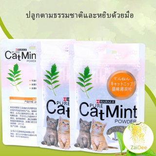 ผงแคทนิป &amp; ผงมาทาทาบิ ซองซิบ "พลาสติก"  ของแท้ 100% โรยของเล่นแมว 5g (พร้อมส่ง) ลูกบอลแมว Catnip