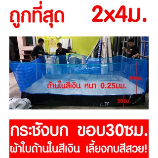 กระชังบก 2x4ม. ยกขอบ 30ซม. ผ้าใบด้านในสีเงิน เลี้ยงกบสีสวย หนา 0.25มม.  สูงรวม 120ซม. กันUV เลี้ยงกบ รับประกันไม่รั่วซึม