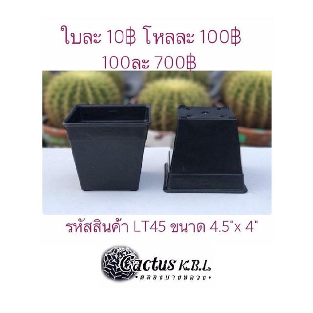 LT45 กระถางต้นไม้แคคตัส ขนาด 4.5 x 4 นิ้ว 100 ใบ