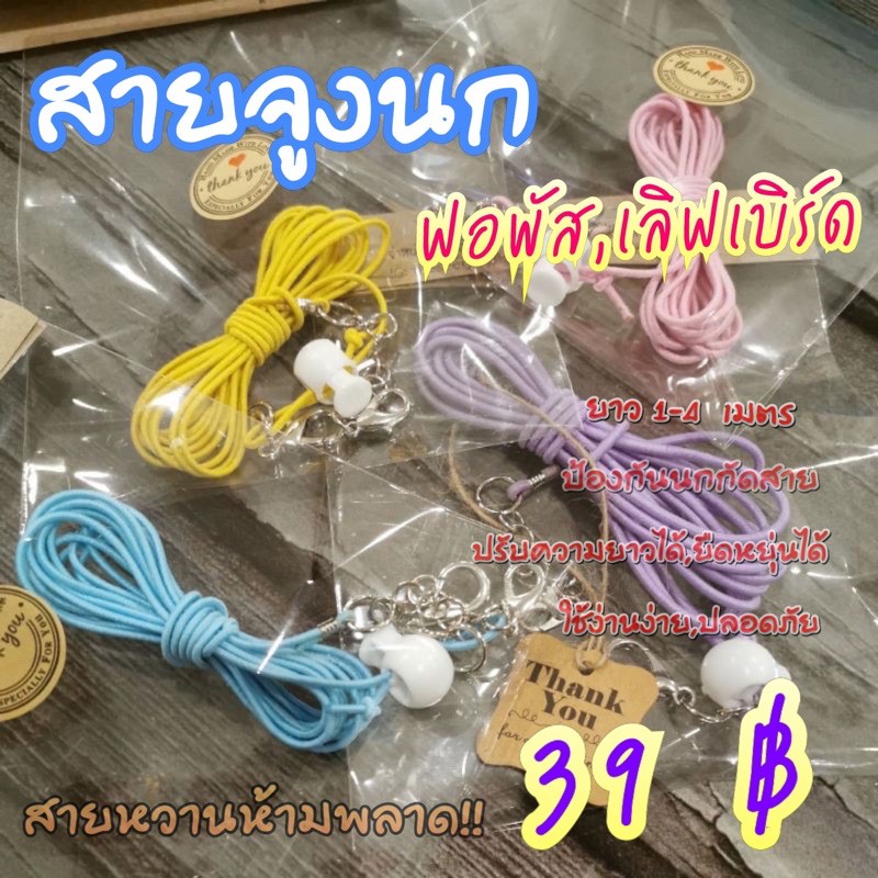 พร้อมส่ง🔥🔥 สายจูงนก​ ฟอพัส​ เลิฟเบิร์ด​ สายยืดได้​ เดินเล่น​ ฝึกบิน​ สีพลาสเทลหวานๆ สสยจูงนกแก้ว