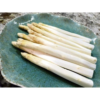 10 เมล็ดพันธุ์ หน่อไม้ฝรั่ง White Asparagus Seeds มีคู่มือพร้อมปลูก อัตรางอก 80-85%