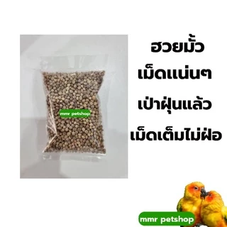 ฮวยมั้วเม็ดใหญ่เกรดสวย รหัส A+อาหารนก แฮมเตอร์ กระรอก(แบ่ง 500g -1kg)